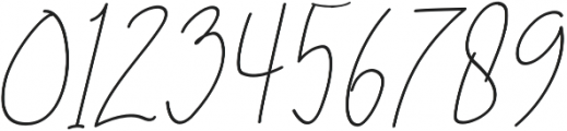 Brilliant Signature 3 Slant otf (400) Font OTHER CHARS