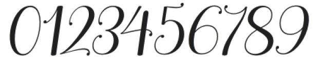 BrilliantGardenItalic-Italic otf (400) Font OTHER CHARS