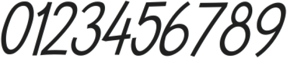 Broadtip Light Italic ttf (300) Font OTHER CHARS