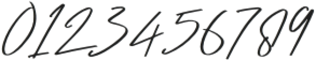 Broken Signature Regular otf (400) Font OTHER CHARS