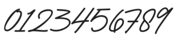 Bromest Signature Regular otf (400) Font OTHER CHARS