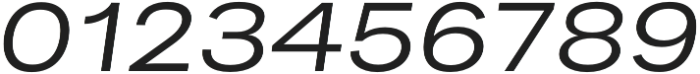 Bruta Pro Extended Regular Italic otf (400) Font OTHER CHARS