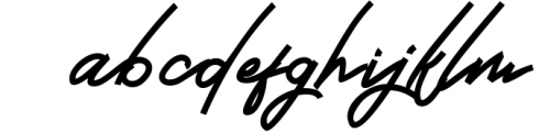 Brand Hole | Handwritten Signature Font Font LOWERCASE