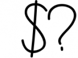 Brigham Signature Script Font OTHER CHARS