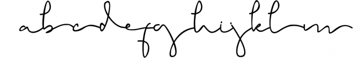 Brigham Signature Script Font LOWERCASE