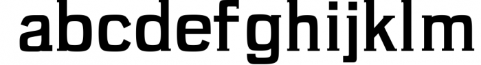 Brycen Serif Premium Font Family 1 Font LOWERCASE