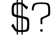 Brydon Serif Typeface Font OTHER CHARS