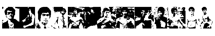BRUCE LEE Font UPPERCASE