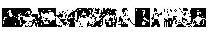 BRUCE LEE FONT