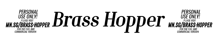 Brass Hopper Body PERSONAL Italic Font OTHER CHARS