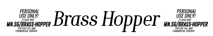 Brass Hopper Body PERSONAL Thin Italic Font OTHER CHARS