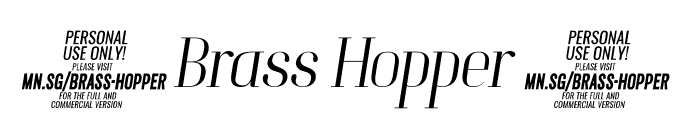 Brass Hopper Head PERSONAL Thin Italic Font OTHER CHARS