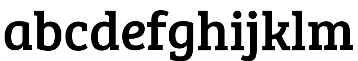 Bree Serif Regular Font LOWERCASE