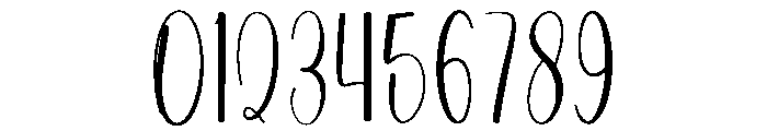 Bride Signature Font OTHER CHARS
