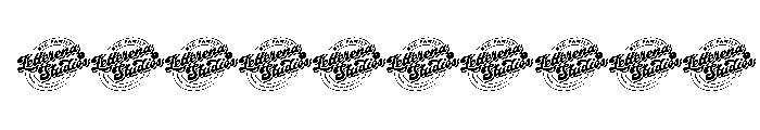 Bright Sunlist DEMO VERSION Italic Font OTHER CHARS