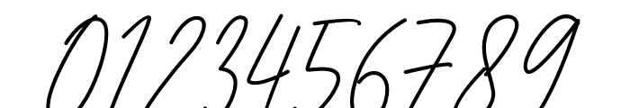Brigitha Signature Font OTHER CHARS