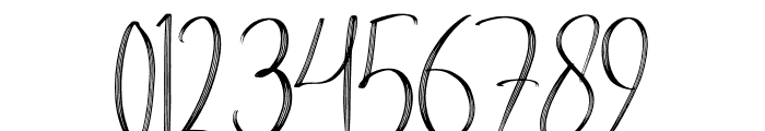 Brilliant Signature Font OTHER CHARS