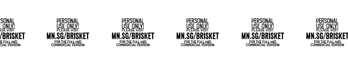 Brisket Script PERSONAL USE Regular Font OTHER CHARS