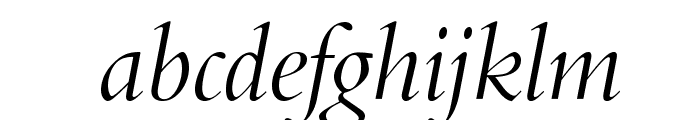 BrophyOpti-Italic Font LOWERCASE