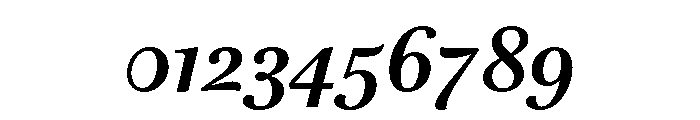 Brill Bold Italic Font OTHER CHARS