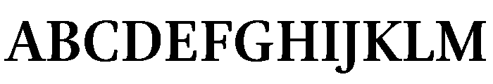Brill Bold Font UPPERCASE