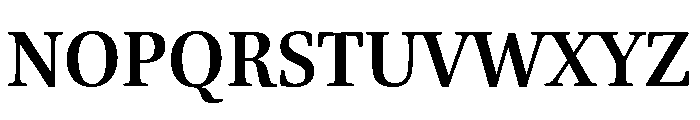 Brill Bold Font UPPERCASE