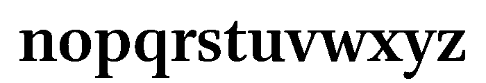 Brill Bold Font LOWERCASE