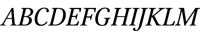 Brill Italic Font UPPERCASE