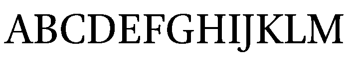 Brill Roman Font UPPERCASE