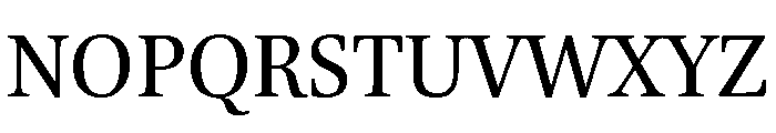 Brill Roman Font UPPERCASE