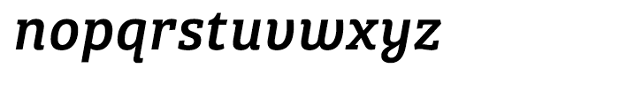 Bree Serif Italic Font LOWERCASE
