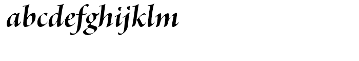 Brioso Bold Italic Display Font LOWERCASE