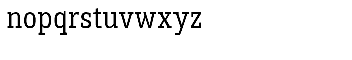 Brix Slab Condensed Regular Font LOWERCASE