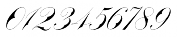 BradstoneParker Script Regular Font OTHER CHARS