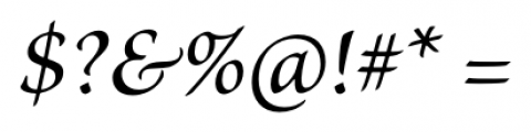 Brioso® Pro Medium Italic Font OTHER CHARS