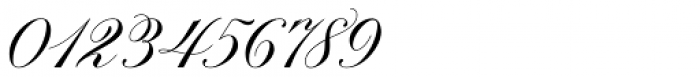 Brachetto Regular Font OTHER CHARS