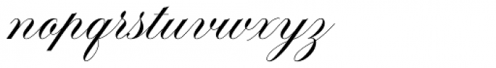 Brachetto Regular Font LOWERCASE