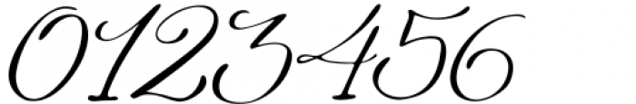 Braderia Italic Font OTHER CHARS