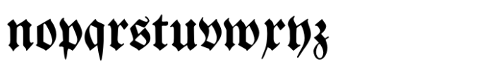Breitkopf Fraktur Std Regular Font LOWERCASE