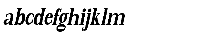 Brighas Oblique FONT