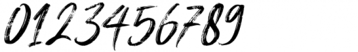 Brigitta Signature Italic Font OTHER CHARS