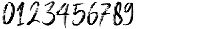 Brigitta Signature Regular Font OTHER CHARS