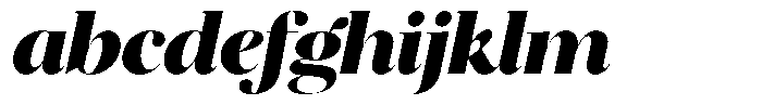 Brillane Serif  Brillane Italic Black FONT