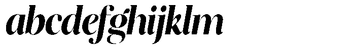 Brillane Serif  Brillane Italic Bold Condensed FONT