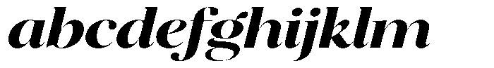 Brillane Serif  Brillane Italic Bold Expanded FONT