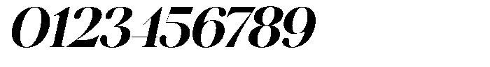 Brillane Serif  Brillane Italic Bold Font OTHER CHARS