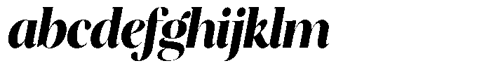 Brillane Serif  Brillane Italic Extra Bold Semi Condensed FONT