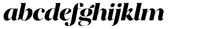 Brillane Serif  Brillane Italic Extra Bold FONT