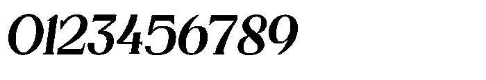 Brilune Italic Font OTHER CHARS