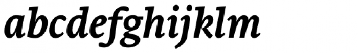 Brioni Text Std Medium Italic Font LOWERCASE